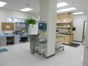 Atlantic Veterinary Care of Damariscotta