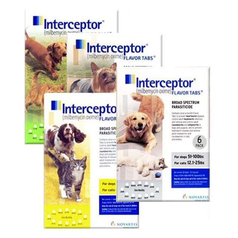 Interceptor hot sale dog medication