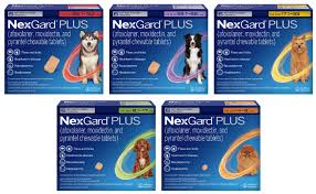 Nexgard Plus Canine Atlantic Vet Care